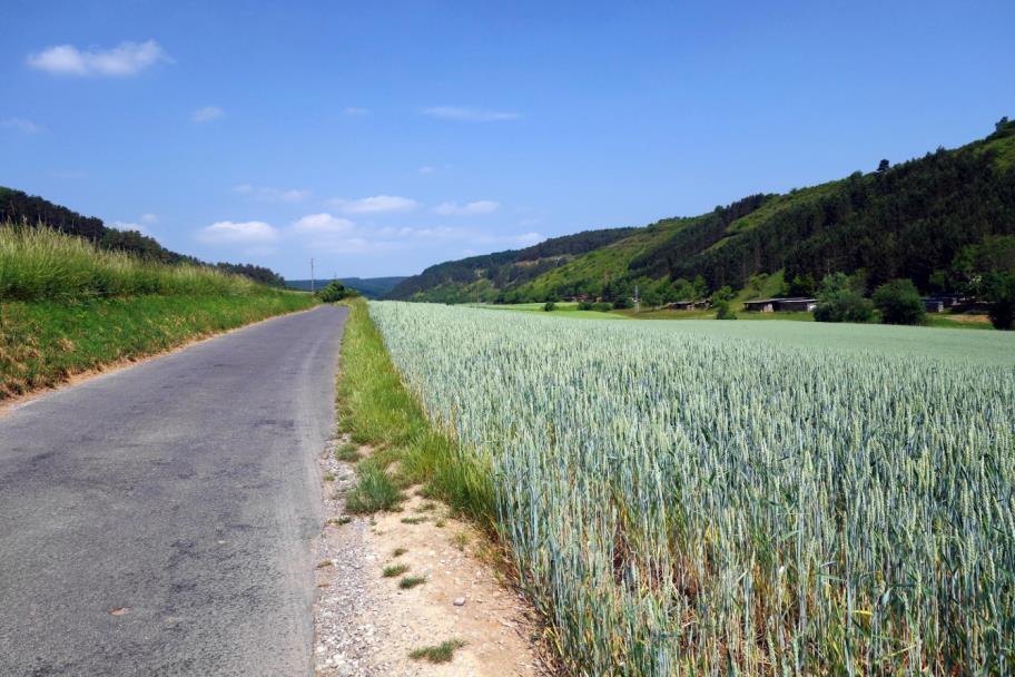 Tot Königheim is het relaxed fietsen.