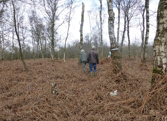 Bureau Meervelt Quickscan Wandelpad Leegveld, 2015 Figuur 5: Nat