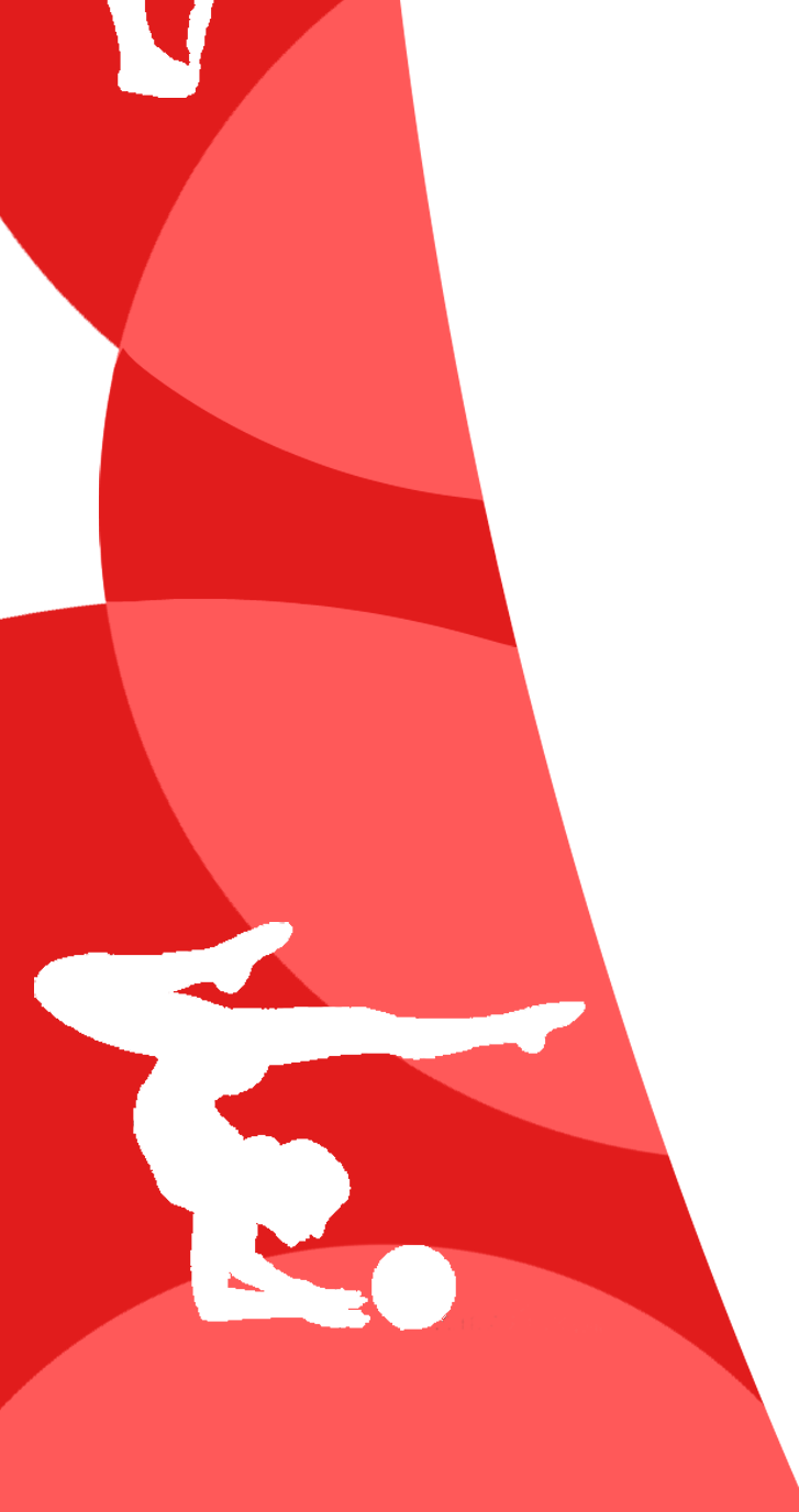 Jaarverslag 2014 Datum : 28-03-2015 In dit jaarverslag wordt weergegeven welke activiteiten binnen Gymnastiekvereniging Jahn hebben plaatsgevonden in 2014.