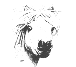 Uitslagen 31 e landelijke mini shetland pony fokdag Uitslag Rubriek 1 Veulens De Hövels, L. Hoevelbrinks Velen-Ramsdorf 2 JALAPEÑO PEPPERBOY V.D. SLEUTEL 8-6-2015 214431 vos eig: Gerard v.