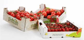 Kleurstoffen Lycopeen in Frappuccino Voeding Sap uit klasse III vruchten Voedingsvezels Materialen Trays uit tomatenblad Nieuwe markten voor plantenstoffen