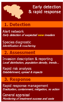 Figuur 4: Belangrijkste fasen van en vroegtijdig detectiesysteem voor invasieve uitheemse soorten.