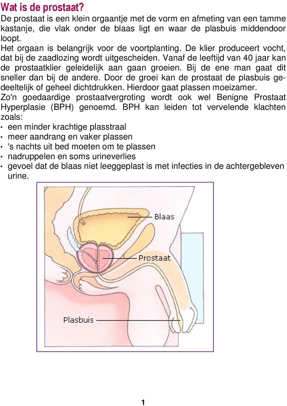 Bij de ene man gaat dit sneller dan bij de andere. Door de groei kan de prostaat de plasbuis gedeeltelijk of geheel dichtdrukken. Hierdoor gaat plassen moeizamer.