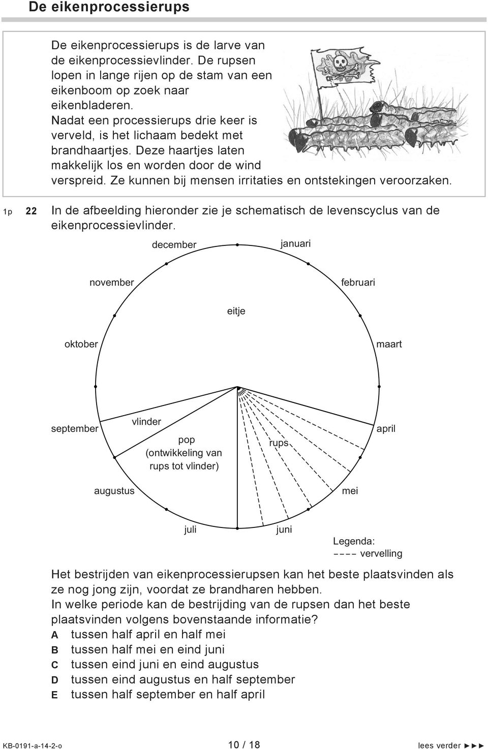 Ze kunnen bij mensen irritaties en ontstekingen veroorzaken. 1p 22 In de afbeelding hieronder zie je schematisch de levenscyclus van de eikenprocessievlinder.