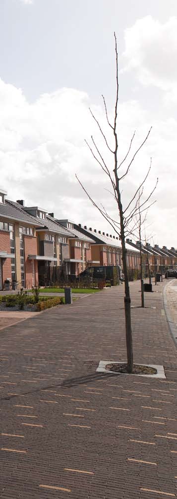 De Groot Vroomshoop Houtbouw levert industrieel geproduceerde prefab houten bergingen en prefab houten gevel- en dakelementen.