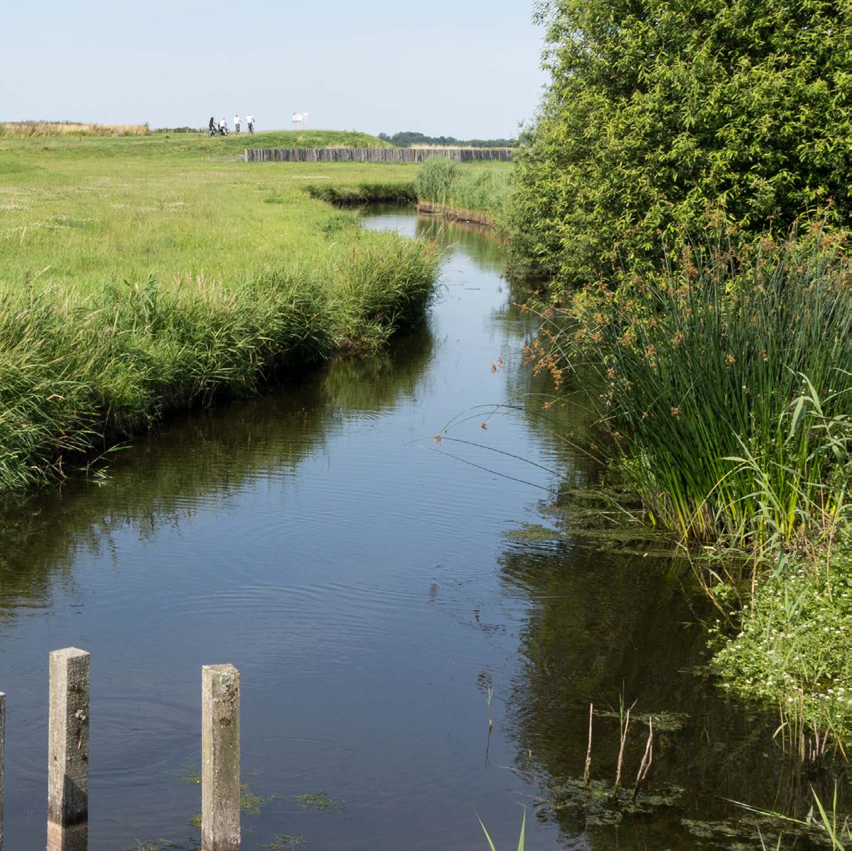 Kansrijke doelgroepen Als Provincie streven we naar meer bezoekers en meer bestedingen.