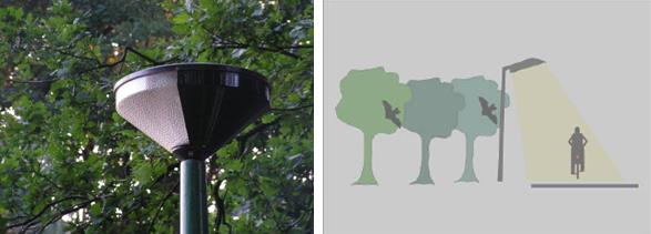 bied. Tussen de bomen die door gewone dwergvleermuizen worden gebruikt als vliegroute staan hoge lantaarnpalen die de bomenrij verlichten.