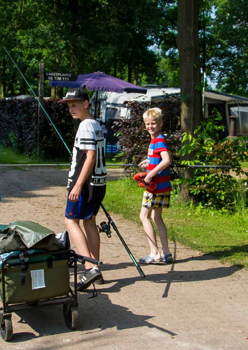 CAMPING WEDDERBERGEN BRENGT LEVEN IN DE BROUWERIJ!