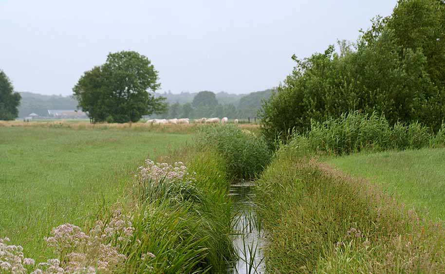 Landschap Erfgoed Utrecht adviseerde ook de nieuw op te richten agrarische collectieven en ondersteunde bij het opstellen van een visie voor