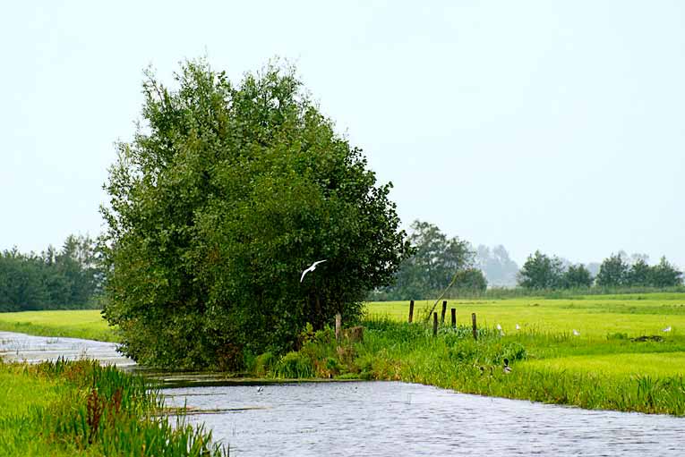 Ruim 40 vrijwilligers zijn op pad geweest om kleine landschapselementen te inventariseren.