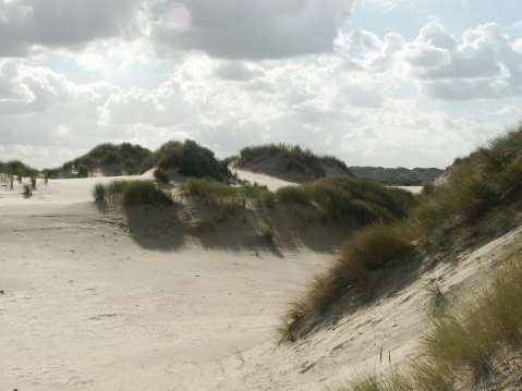 2 Landschapsvorming Windafzettingen tijdens de ijstijden Fysisch milieu