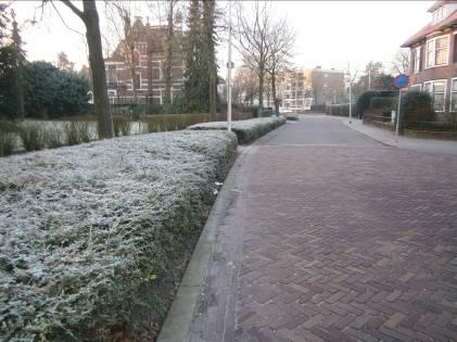 Groen 2 Huidige situatie Cyber heeft half januari 2013 in de gemeenten Naarden en Bussum een quickscan uitgevoerd om inzicht te krijgen in de beheerkwaliteit van de openbare ruimte.