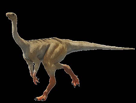 Welke dino kies jij? Op zoek naar dino s les Lees en kruis aan In deze les maak je zelf een dino. Op welke dino lijkt hij? De grootste De Argentinosaurus was een van de grootste dino s.