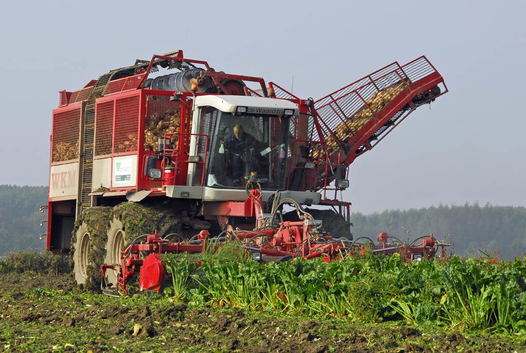 Loonwerken in de