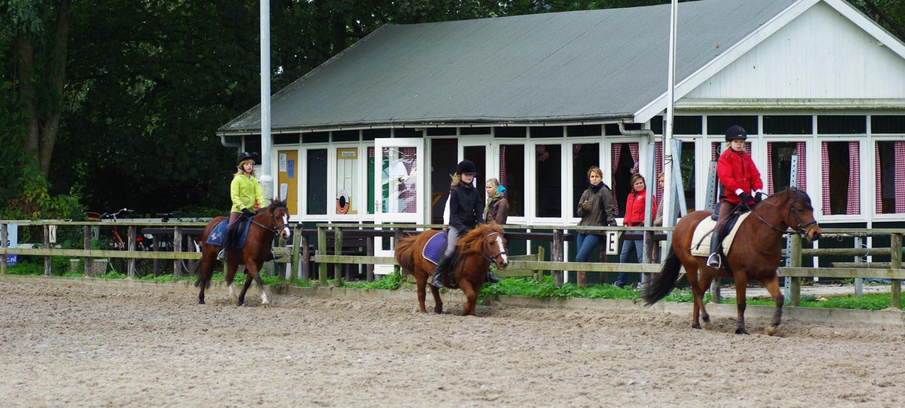 Voor paardensport op elk niveau!