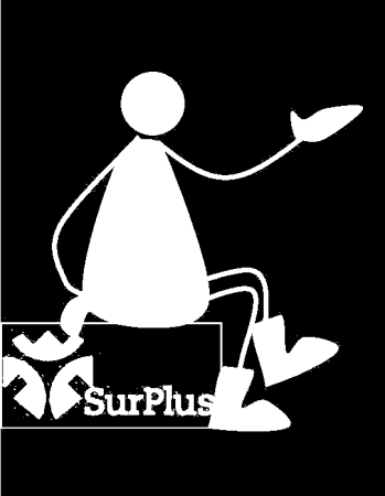 Start: Surplus Quickscan op weg naar beleid voor begaafden www.surplus-begaafden.