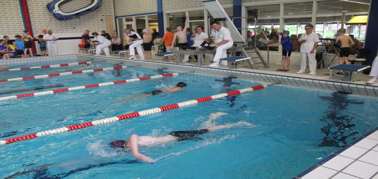 In het weekend van zater- en zondag 11 en 12 juni werden er in zwembad de Wisselslag de Regionale Minioren Finale Limburg (RMF Limburg 2016) gehouden.