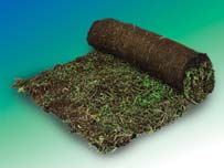 Uitgekiende systemen voor elke toepassing Extensief begroeide daken Toepassingen Materialen Sedumbeplanting evt.