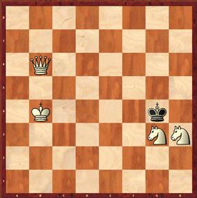 Damprobleem: wit speelt en wint Deze week een probleem van B. Sjitkin Sjasjki. Het probleem is makkelijker dan de naam van de auteur. Alhoewel.