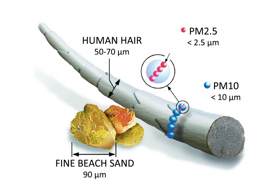 PM0,1 - deeltjes kleiner dan 0,1 micrometer (?m) PM staat voor Particulate Matter. De fijnstof-emissies door het verkeer bestaan voor 57 tot 86% uit deeltjes PM2,5.