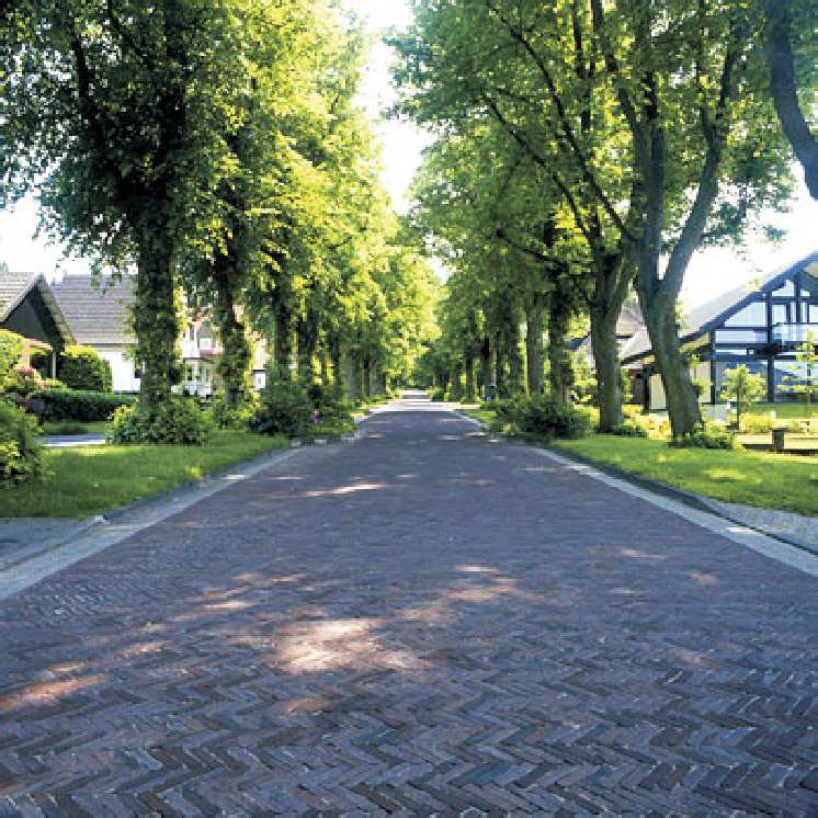 Beeldkwaliteit: Buitenruimte en Groen Algemeen: Ook in de buitenruimte zijn twee gebieden te herkennen, de Zuiderzeestraatweg en het woonhof.