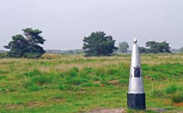 Midden in het gebied staat een kijkhut waar u vogels kunt kijken. Schuwe soorten als de roerdomp en het woudaapje, de kleinste Nederlandse reiger, voelen zich hier thuis.