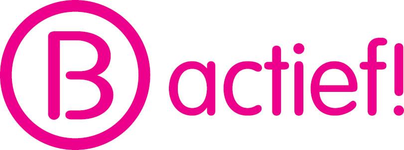 Draaiboek voor het organiseren van B-actief activiteiten Voordat je begint met het organiseren van een B-actief activiteit is het handig om een aantal dingen te weten.