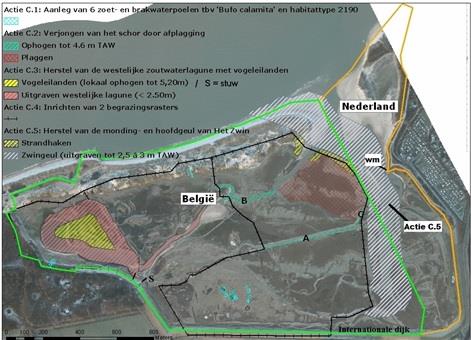 De Strandvlo 34(4) 113 Kaart: Uitvoeringsplan van de Zwin Tidal Area Restoration-werken Bron : http://www.natuurenbos.be (Projecten/Ztar/Programma) wm = vindplaats wit muizenoortje.