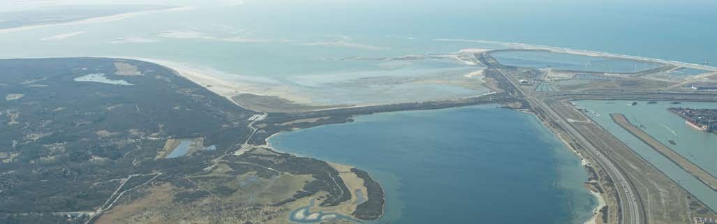 recreatie Zeewering wordt ook strand Net als bij de huidige Maasvlakte is straks langs Maasvlakte 2 recreatie mogelijk.