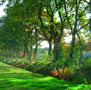 Landschappelijke overgangen talud met terraszone watergang, sloot boomgaardjes,