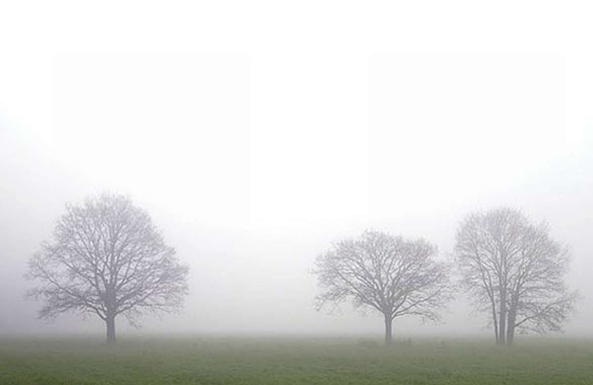 Voor het vellen van bomen op unieke locaties,(particuliere) bomen met het label waardevol en bomen op gemeentelijk grondgebied moet altijd een kapvergunning worden aangevraagd.