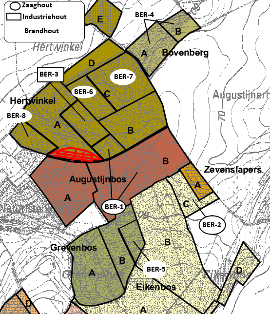 Bertembos: Augustijnsbos-