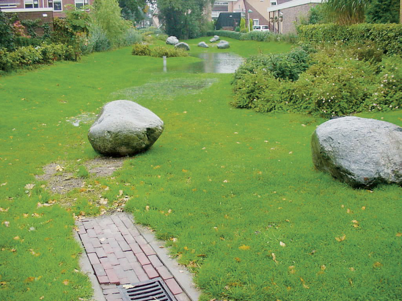 Wat willen we bereiken? Zorgvuldig omgaan met voorkomende natuurwaarden (flora en fauna).