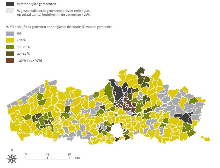 West-Vlaamse tuinbouw provincie met grootste areaal groenten (62% van Vl.