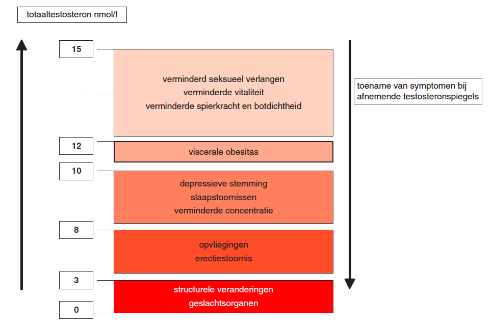 + Seksuele klacht & laag testosteron Symptomen van een