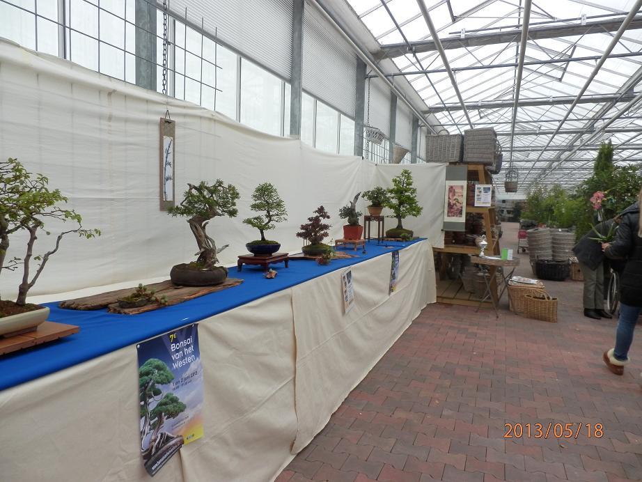 BONSIASHOW RIJNMOND Tuincentrum Voorne, Oostvoorne. Op zaterdag 16 april organiseert Bonsaivereniging Rijnmond een tentoonstelling in Tuincentrum Voorne te Oostvoorne.