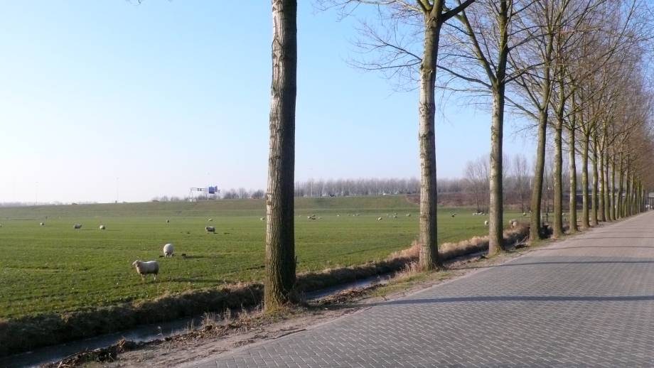 Zicht vanaf de Schalkwijksewetering over de open en weidse polder op de boombeplanting van het Amsterdam-Rijnkanaal met daarachter de bebouwing van Houten-zuid.