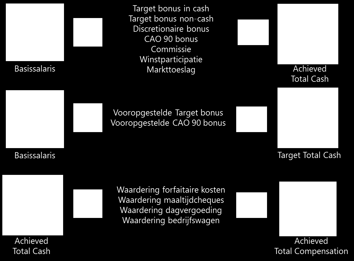 BIJLAGEN DEFINITIES Basissalaris Target Total Cash Achieved Total Cash Achieved Total Compensation Target variabele beloning Target variabele beloning (% vs Basissalaris) Achieved variabele beloning