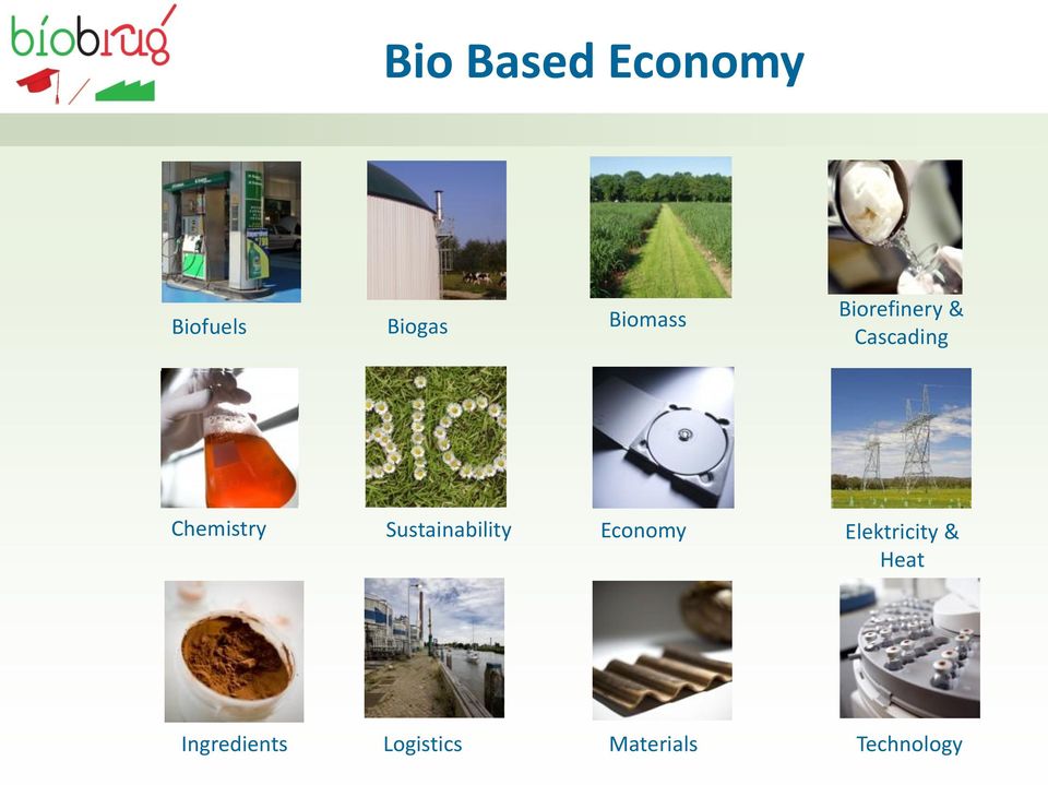 Chemistry Sustainability Economy