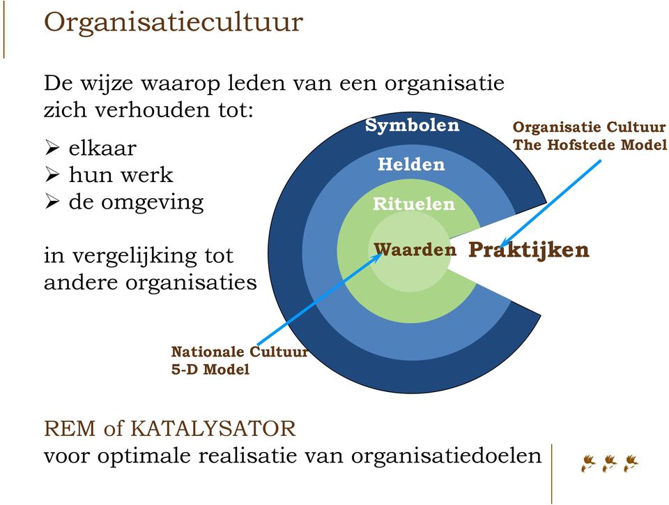 Hofstede Model in vergelijking tot andere organisaties Waarden Praktijken