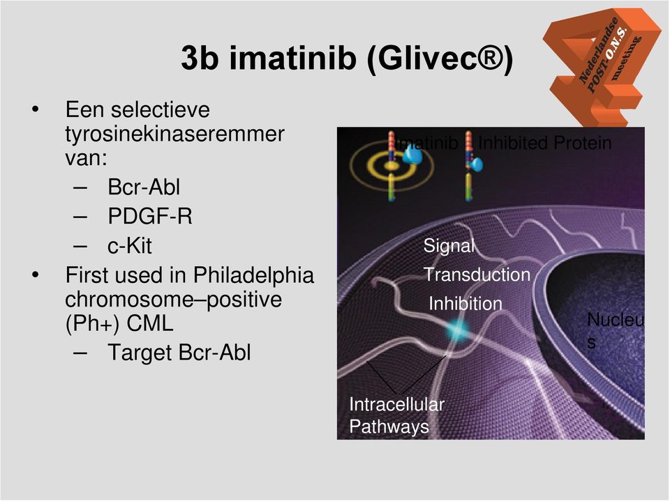 chromosome positive (Ph+) CML Target Bcr-Abl Imatinib Signal