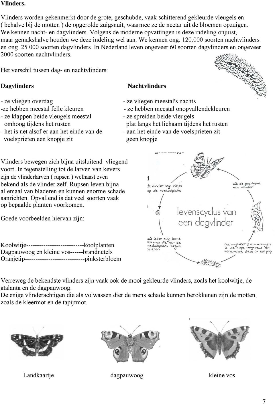 000 soorten dagvlinders. In Nederland leven ongeveer 60 soorten dagvlinders en ongeveer 2000 soorten nachtvlinders.