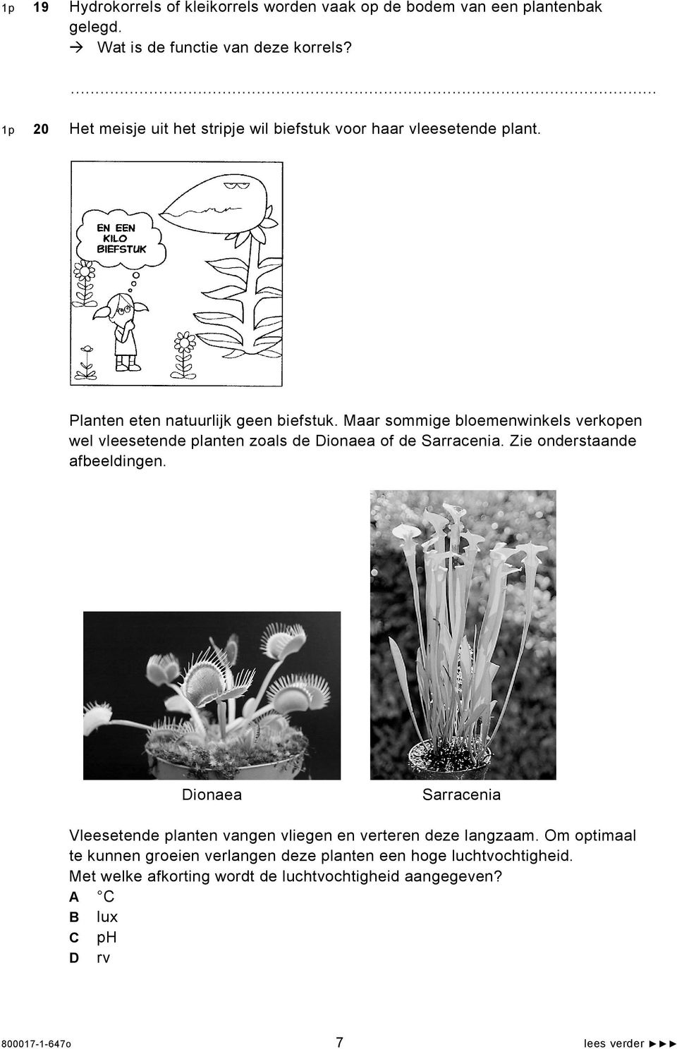 Maar sommige bloemenwinkels verkopen wel vleesetende planten zoals de Dionaea of de Sarracenia. Zie onderstaande afbeeldingen.