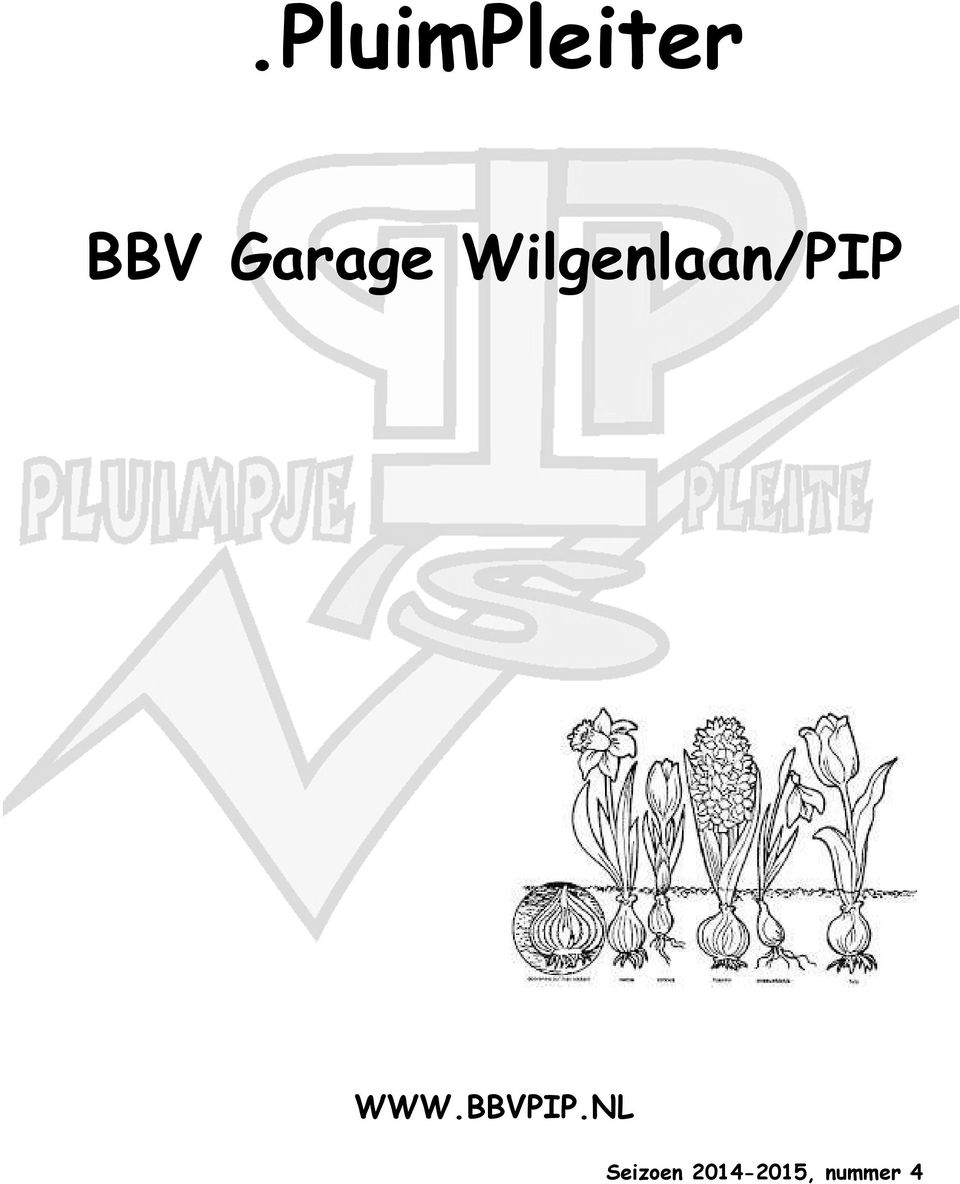 Wilgenlaan/PIP WWW.