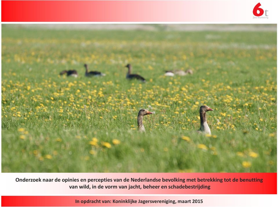 wild, in de vorm van jacht, beheer en schadebestrijding