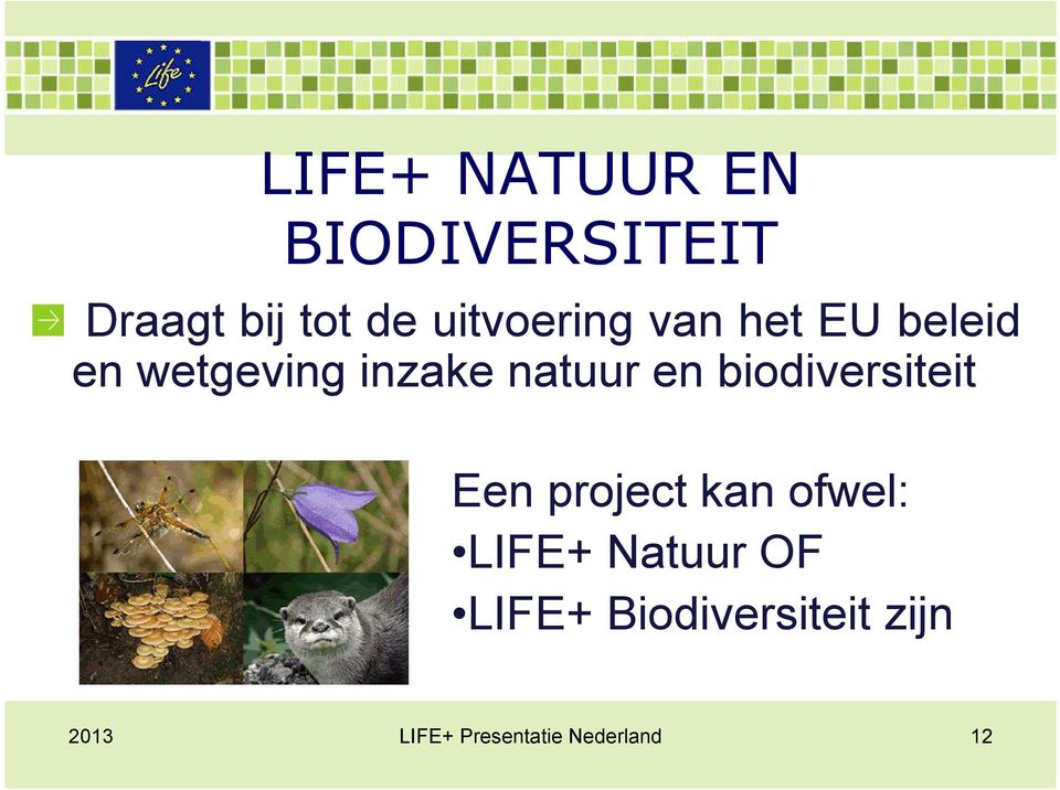 inzake natuur en biodiversiteit Een project kan