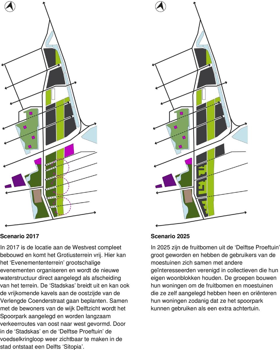 De Stadskas breidt uit en kan ook de vrijkomende kavels aan de oostzijde van de Verlengde Coenderstraat gaan beplanten.