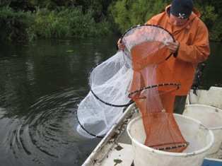 2.3 Vistuigen 2.3.1 Elektrovisserij figuur 2.2 2.3.2 Zegenvisserij figuur 2.3 2.3.3 Schietfuiken figuur 2.4 Inzet van het elektrovisapparaat. Uitvaren zegen met behulp van de boot.