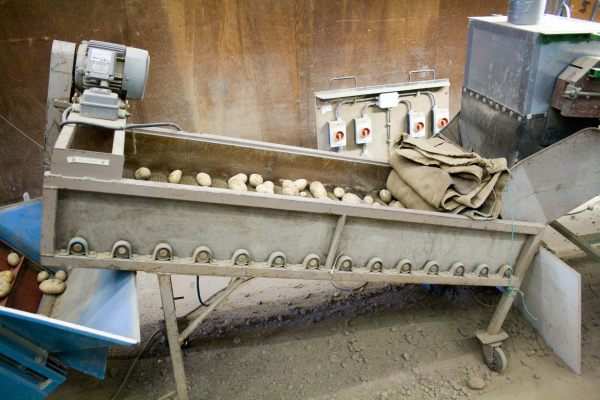 4.5 Borstelen en sorteren Het borstelen is uitgevoerd in één werkgang als eerste onderdeel van de sorteerlijn met borstels aan de onderkant.