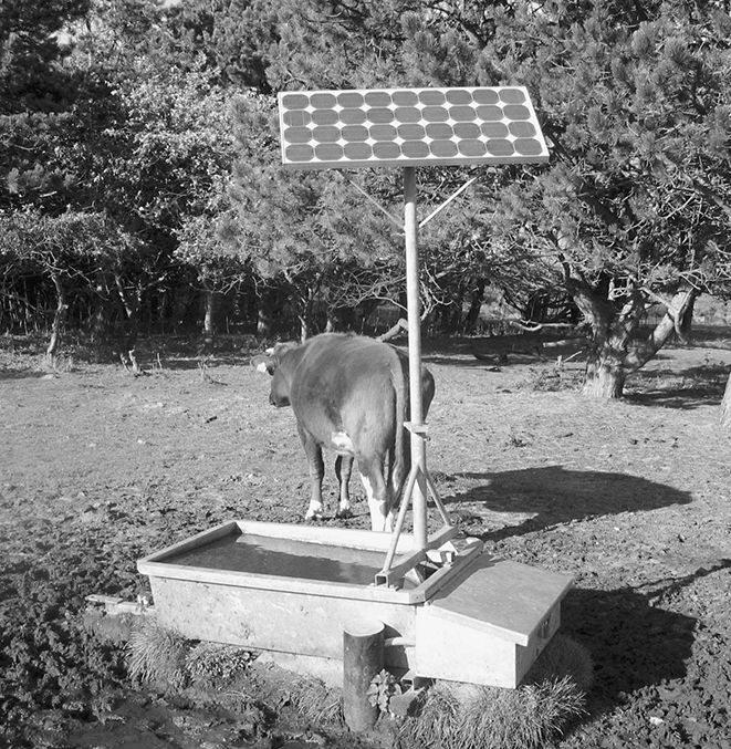 Opgave 2 Drinkbak Figuur 2 toont een drinkbak figuur 2 voor koeien die automatisch bijgevuld wordt met een pomp. Deze pomp is aangesloten op een zonnepaneel.